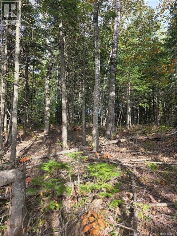 Lot Hazen Lane — photo 15 of 22