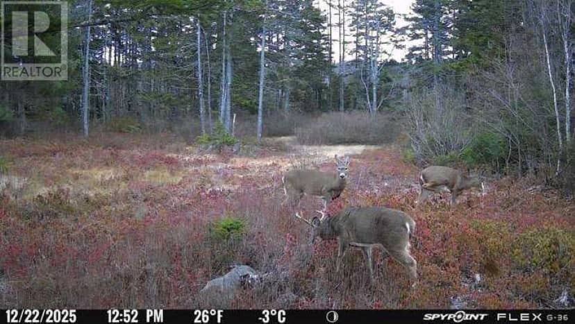 Lot AR Fishpeddlers Road — photo 17 of 17