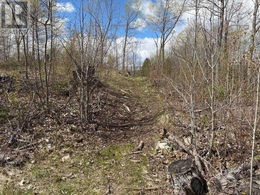 Lot 0 County Road 38 — photo 11 of 40