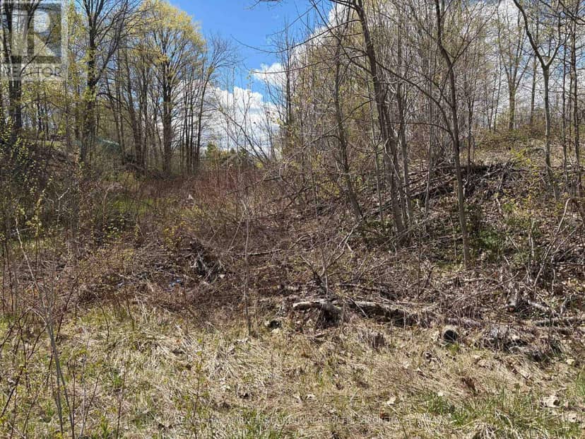 Lot 0 County Road 38 — photo 12 of 40