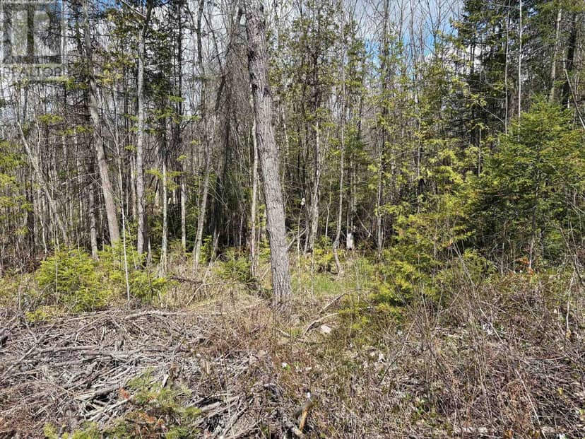 Lot 0 County Road 38 — photo 16 of 40