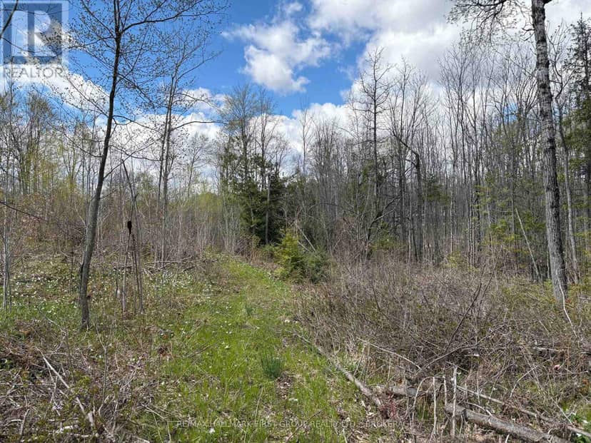 Lot 0 County Road 38 — photo 18 of 40