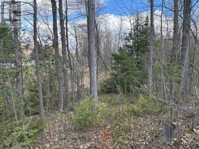 Lot 0 County Road 38 — photo 25 of 40
