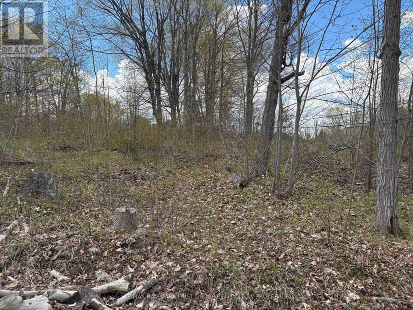 Lot 0 County Road 38 — photo 26 of 40