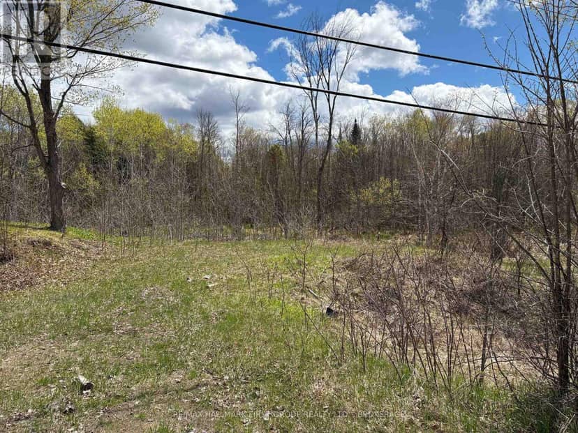 Lot 0 County Road 38, Frontenac, photo 3