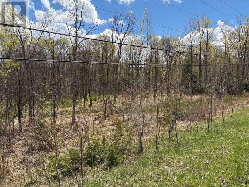 Lot 0 County Road 38 — photo 31 of 40