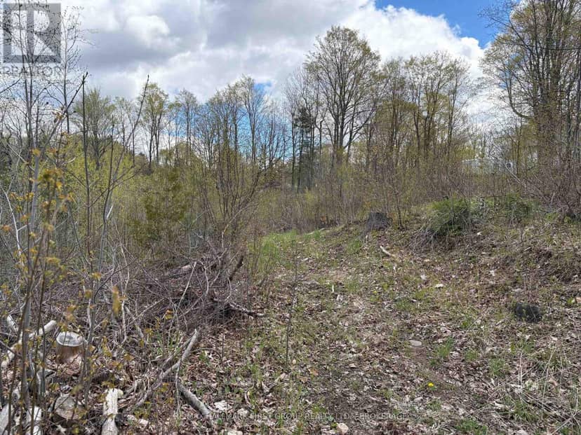 Lot 0 County Road 38, Frontenac, photo 8