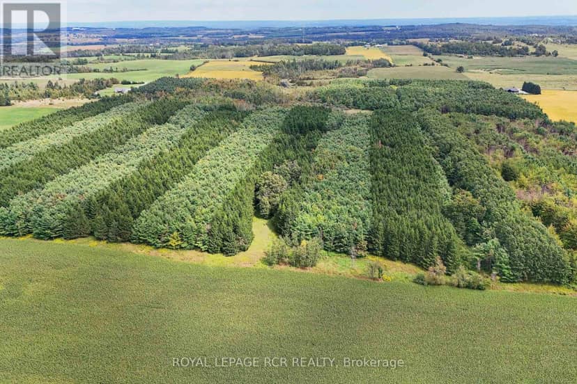 Lot 29 Prince Of Wales Road — photo 10 of 24