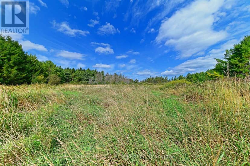 Lot 29 Prince Of Wales Road — photo 13 of 24
