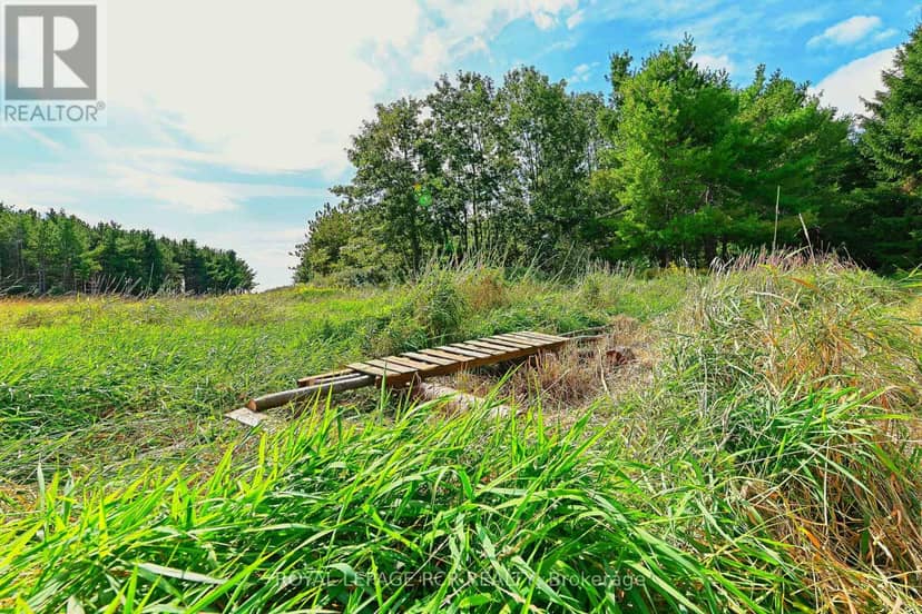 Lot 29 Prince Of Wales Road — photo 14 of 24