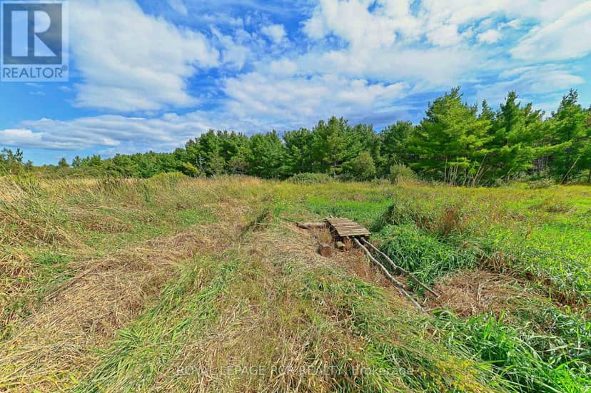 Lot 29 Prince Of Wales Road — photo 15 of 24