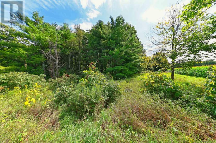 Lot 29 Prince Of Wales Road — photo 21 of 24