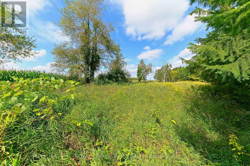 Lot 29 Prince Of Wales Road — photo 23 of 24