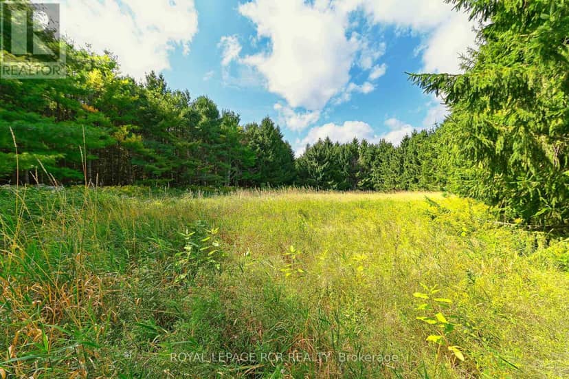 Lot 29 Prince Of Wales Road, Mulmur, photo 5