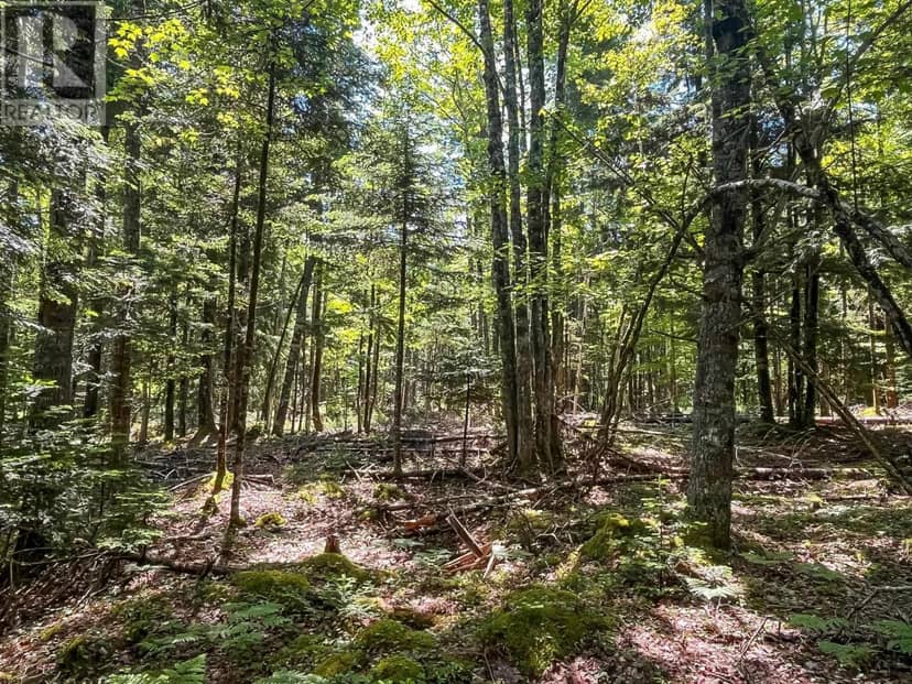 Lot 1000 Conquerall Road — photo 2 of 12