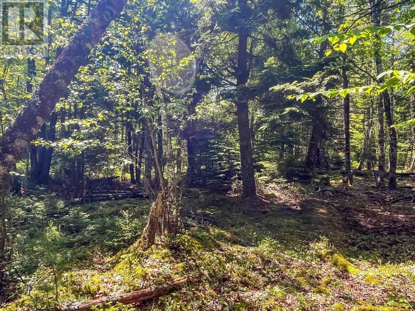 Lot 1000 Conquerall Road — photo 5 of 12