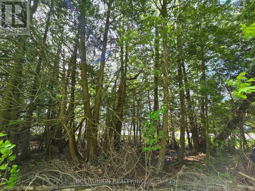 LOT1 Red Bay Road — photo 10 of 18