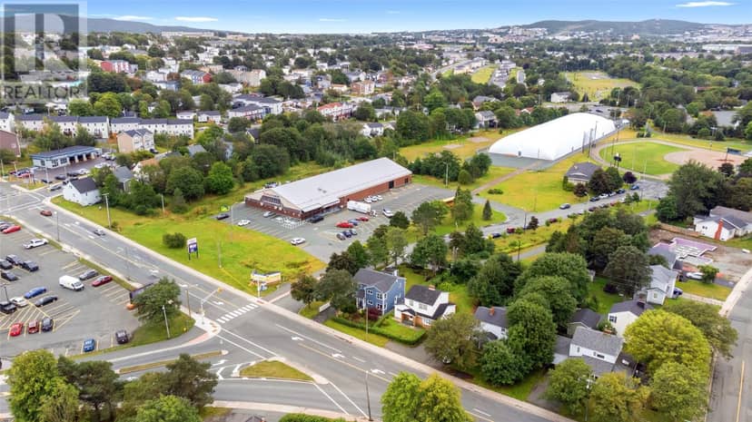 99 Bonaventure Avenue, St. John's, photo 4