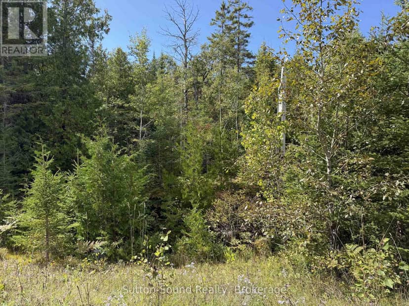 Pt LT35 Con 3 Wbr Pt 77 Concession, Northern Bruce Peninsula, photo 5