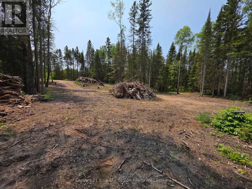 356 Hunt Line — photo 17 of 21