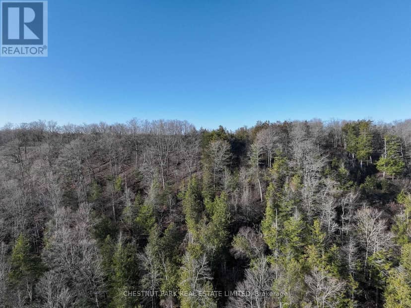 695 County Road 7, Prince Edward County, photo 8