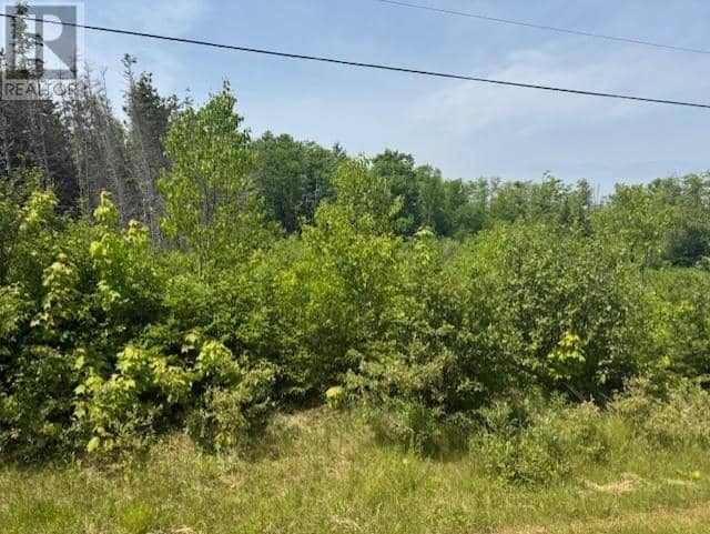 Lot 12 Westwood Lane — photo 12 of 12