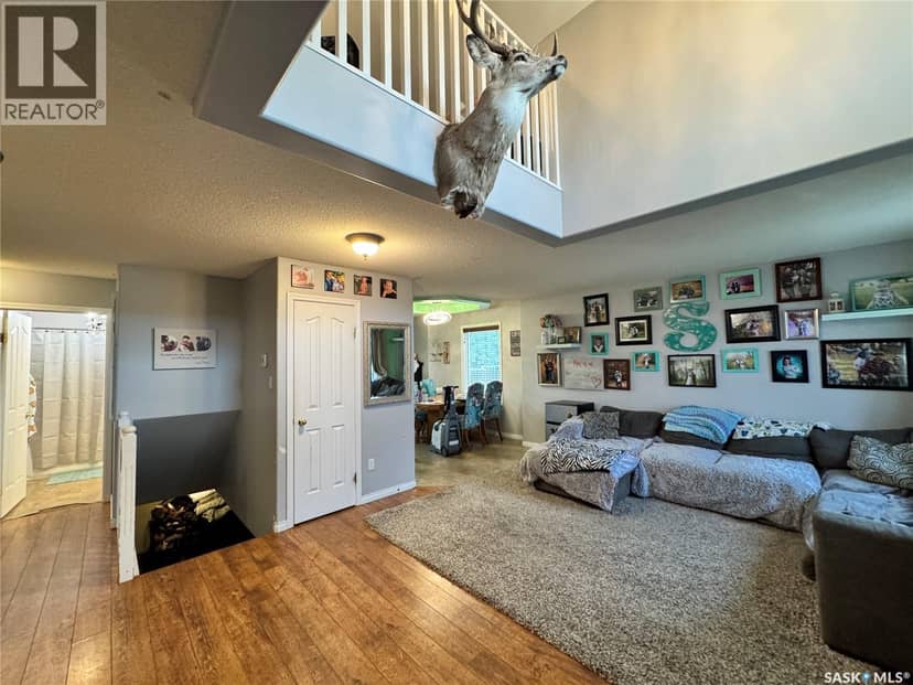 405 2nd AVENUE E, Biggar, photo 4