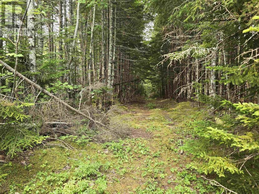 Lot 1-3 107 Highway, West Petpeswick, photo 8