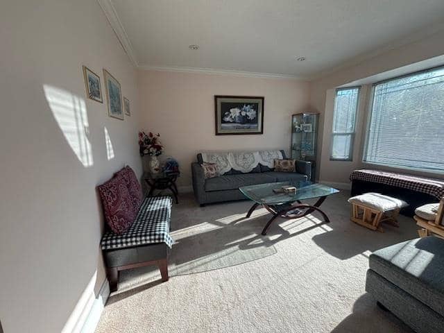 8668 143A STREET, Surrey, photo 3