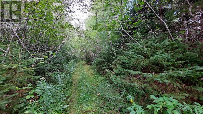 Lot 14 Golden Shore Dr — photo 15 of 23