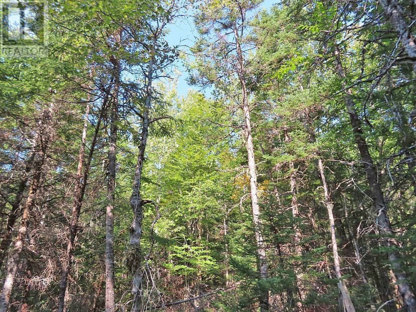 Lot 5 Basin Road — photo 14 of 33