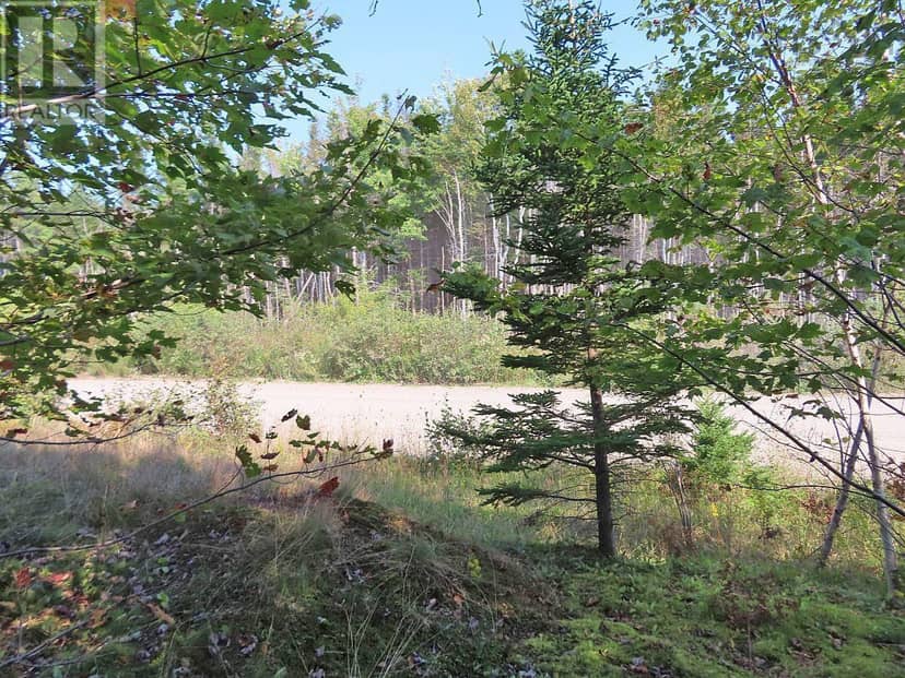 Lot 5 Basin Road — photo 21 of 33