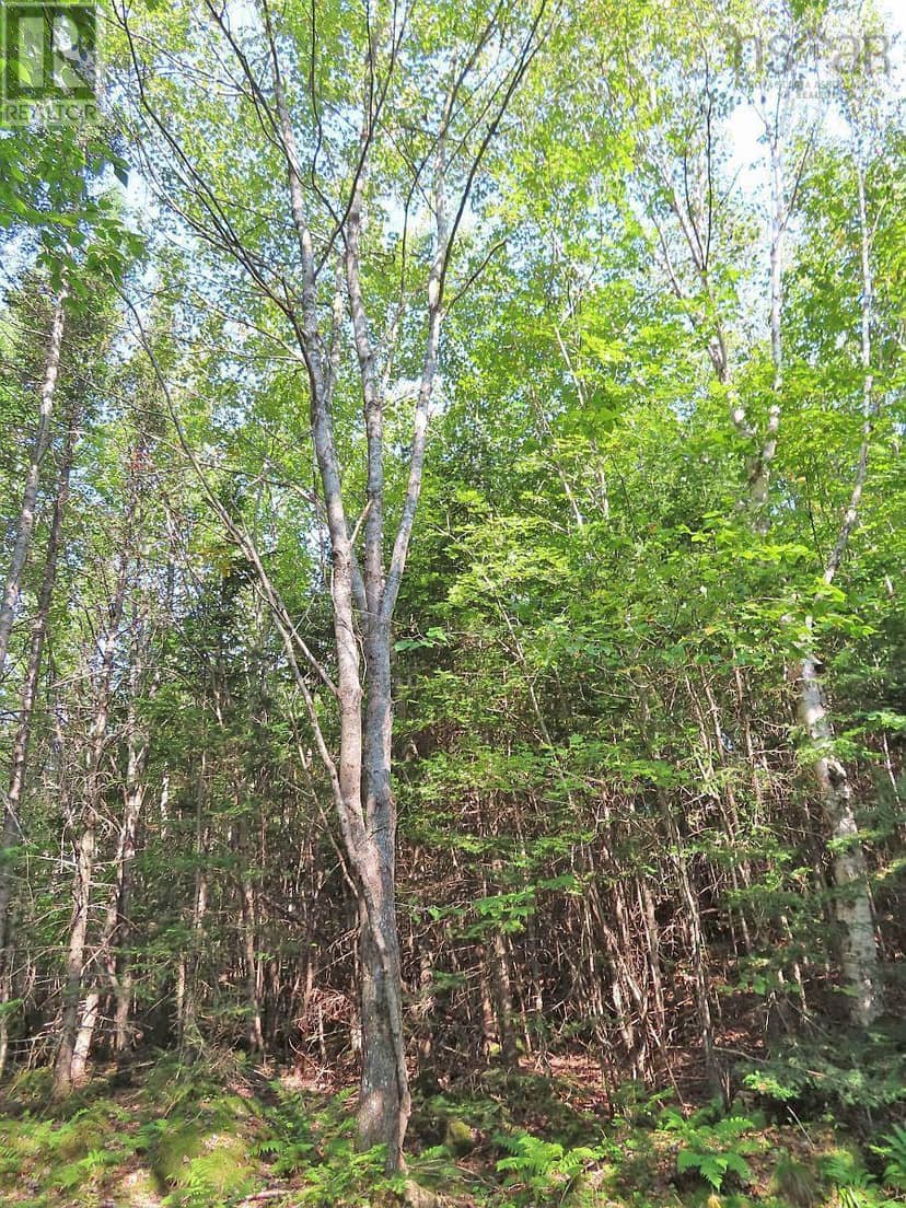 Lot 5 Basin Road — photo 20 of 33