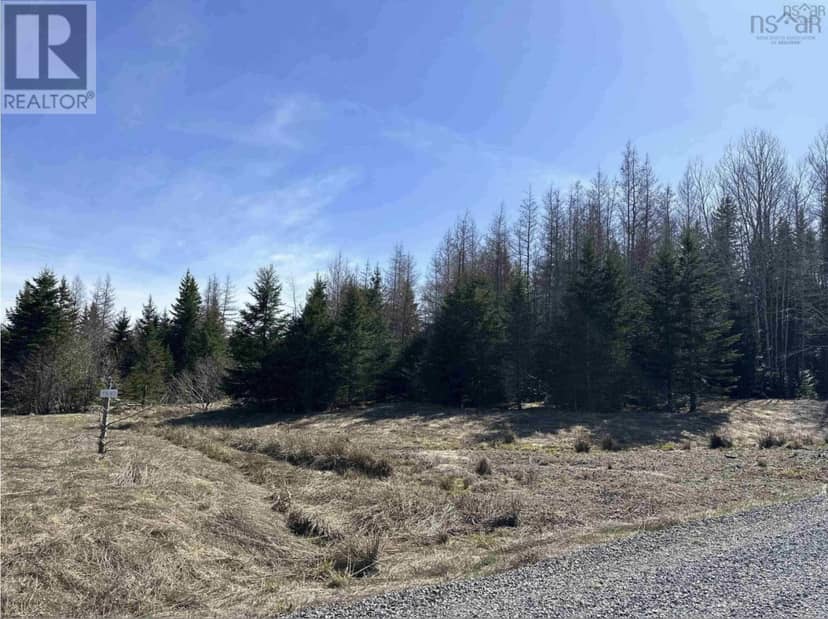 Lot 16 - Lower River Road — photo 11 of 23