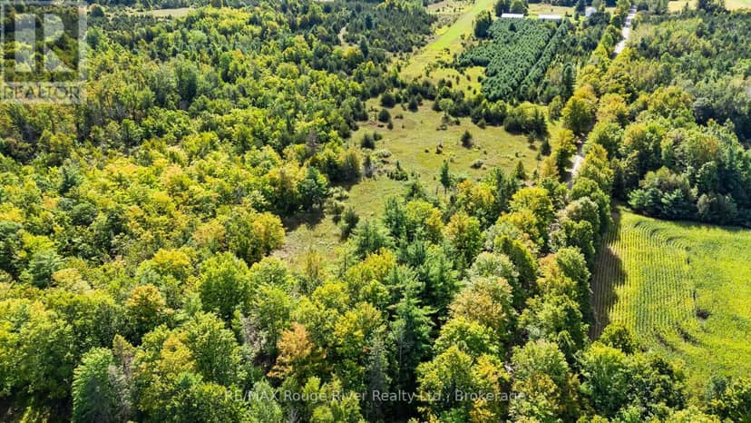 1321 Crowe River Road N — photo 10 of 14