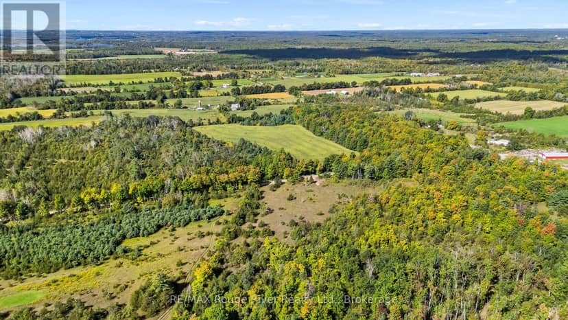 1321 Crowe River Road N, Trent Hills, photo 7