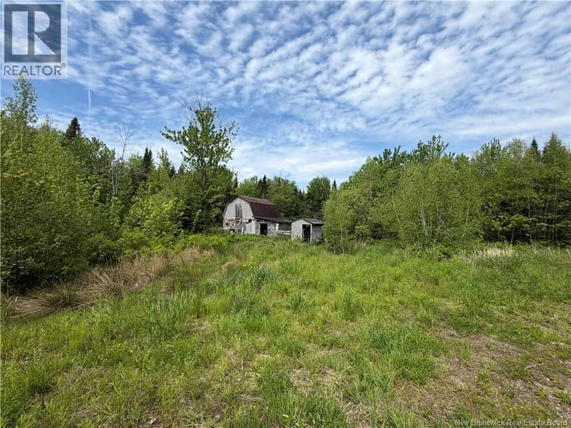 225 South Black River Road, Black River Bridge, photo 3
