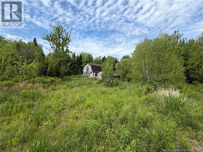 225 South Black River Road, Black River Bridge, photo 4