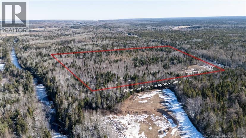 225 South Black River Road, Black River Bridge, photo 5