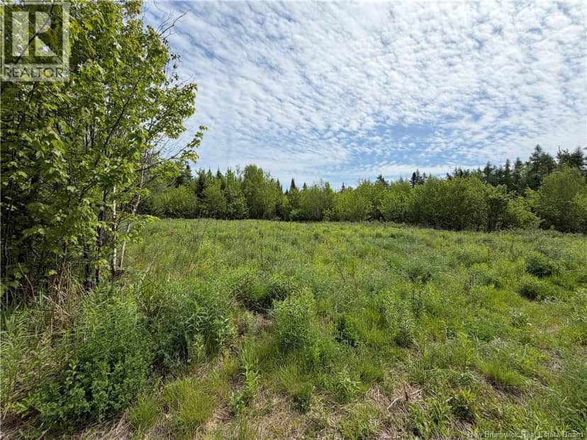 225 South Black River Road, Black River Bridge, photo 2