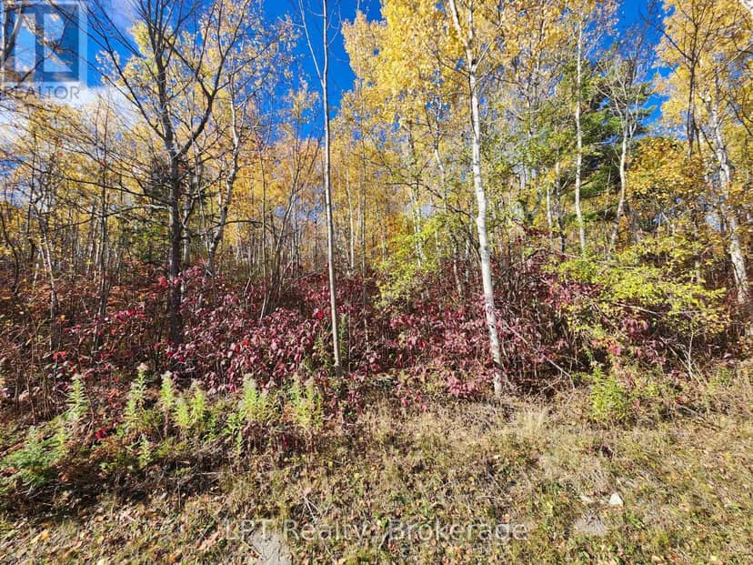 Lt 15 Plan 834 Grey Road 1 — photo 11 of 19