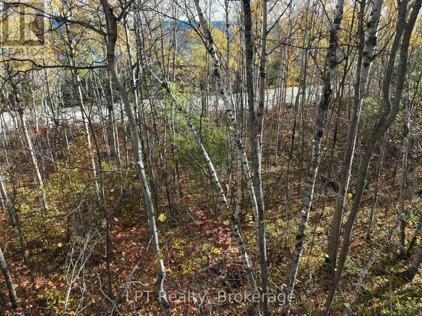 Lt 15 Plan 834 Grey Road 1 — photo 19 of 19
