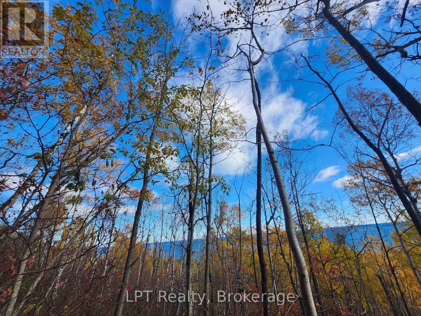 Lt 15 Plan 834 Grey Road 1, Georgian Bluffs, photo 8