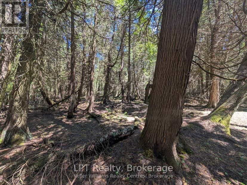 Pt Lt 56 Con 4 Cape Hurd Road — photo 14 of 31