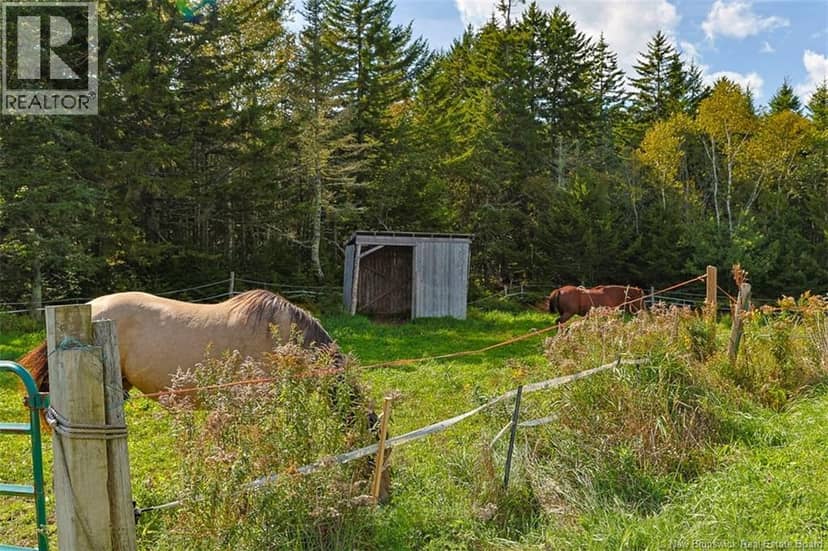 2078 Route 845, Bayswater, photo 7