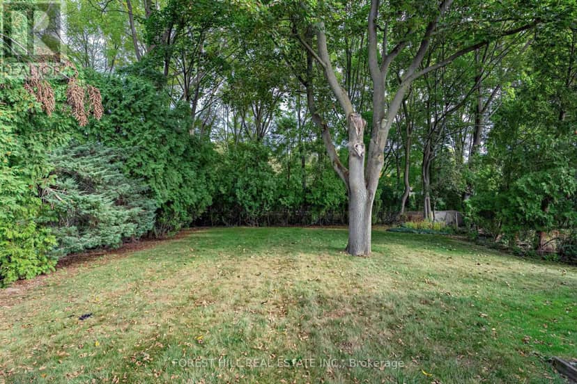56 Little John Road — photo 33 of 38