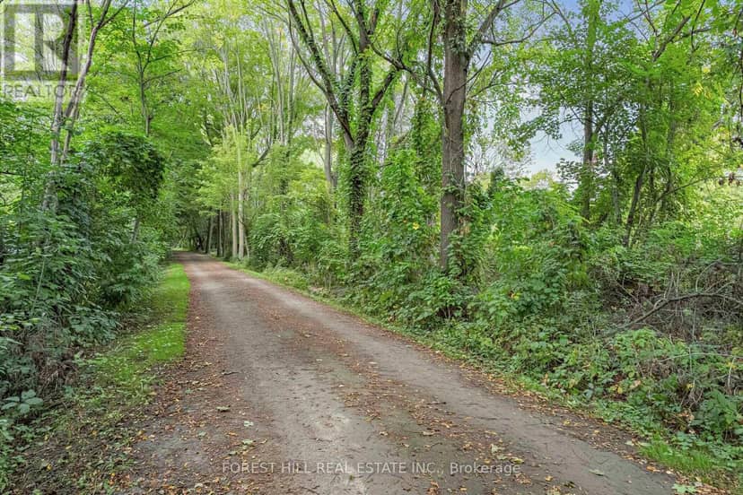 56 Little John Road — photo 34 of 38