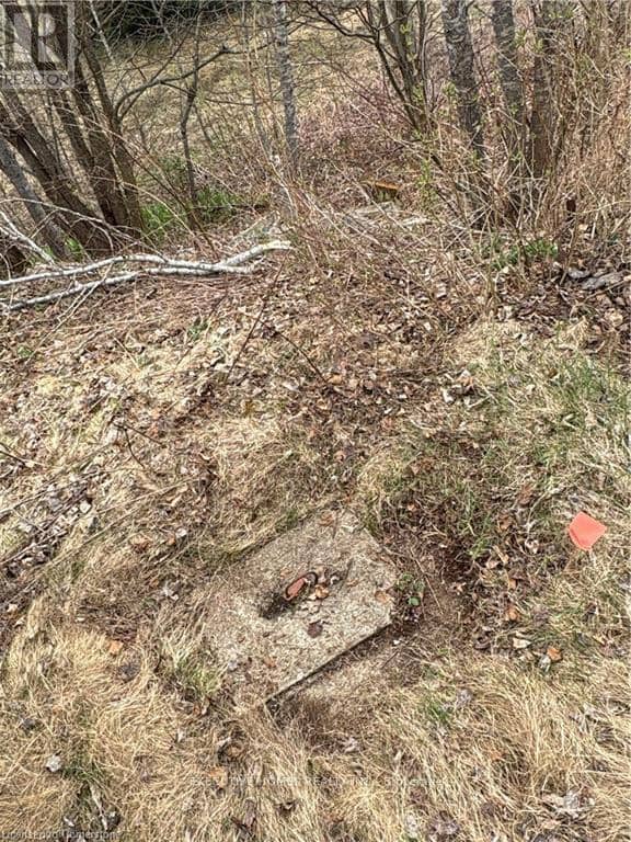 1014 Bulrush Trail — photo 10 of 15