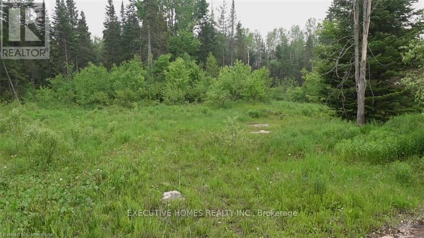 1014 Bulrush Trail — photo 12 of 15