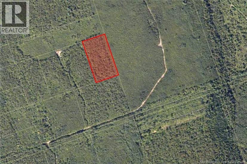 Recreational Woodlot Green Road, Elgin, photo 5